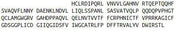 Recombinant Proteinase 3 (PR3), RPU43518
