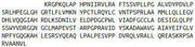 Recombinant PTEN Induced Putative Kinase 1 (PINK1), RPU43525
