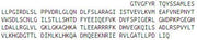 Recombinant Puromycin Sensitive Aminopeptidase (PSA), RPU43529