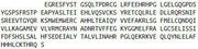 Recombinant RAR Related Orphan Receptor Gamma (RORg), RPU43560