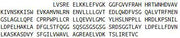 Recombinant Receptor Interacting Serine Threonine Kinase 3 (RIPK3), RPU43569