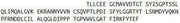 Recombinant Renin (REN), RPU43596