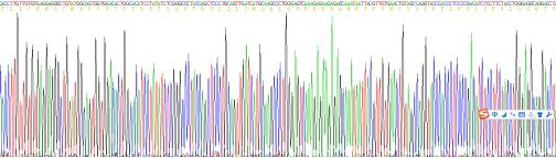 Recombinant Rat Renin (REN)
