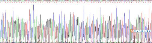 Recombinant Rat Renin (REN)