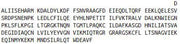 Recombinant Probable ATP-dependent RNA Helicase DDX58 (DDX58), RPU43607