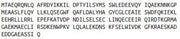 Recombinant Probable ATP-dependent RNA Helicase DDX58 (DDX58), RPU43608