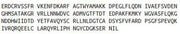 Recombinant Retinol Binding Protein 4 (RBP4), RPU43621
