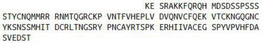 Recombinant Ribonuclease A (RNase A), RPU43636