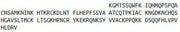 Recombinant Ribonuclease A7 (RNASE7), RPU43648