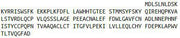 Recombinant Ribonuclease P (RNASEP), RPU43655