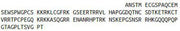 Recombinant R-Spondin 1 (RSPO1), RPU43665