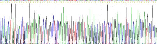 Recombinant Rat R-Spondin 1 (RSPO1)
