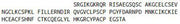 Recombinant R-Spondin 1 (RSPO1), RPU43666