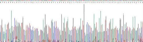 Recombinant Human S100 Calcium Binding Protein A12 (S100A12)