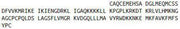 Recombinant Secreted Frizzled Related Protein 5 (SFRP5), RPU43724