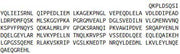 Recombinant Secretogranin II (SCG2), RPU43726