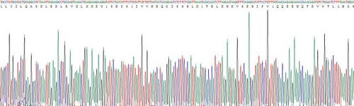 Recombinant Human Selenoprotein P1, Plasma (SEPP1)