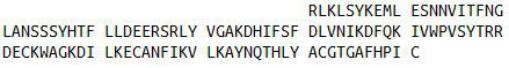 Recombinant Semaphorin 3A (SEMA3A), RPU43744