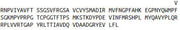 Recombinant Semaphorin 3F (SEMA3F), RPU43750