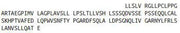 Recombinant Semaphorin 5B (SEMA5B), RPU43756