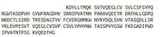 Recombinant Sialic Acid Binding Ig Like Lectin 12 (SIGLEC12), RPU43785