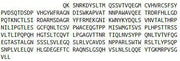Recombinant Sialic Acid Binding Ig Like Lectin 7 (SIGLEC7), RPU43792