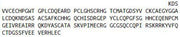 Recombinant Slit Homolog 3 (Slit3), RPU43847