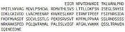 Recombinant Stem Cell Factor (SCF), RPU43890