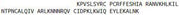 Recombinant Stromal Cell Derived Factor 1 (SDF1), RPU43895