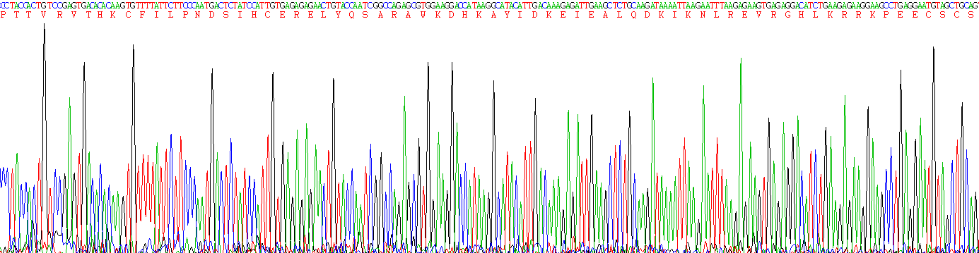 Figure. Gene Sequencing (Extract)