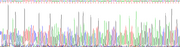 Figure. Gene Sequencing (Extract)