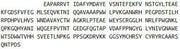 Recombinant Sulfatase Modifying Factor 1 (SUMF1), RPU43903