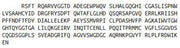 Recombinant Suppression Of Tumorigenicity 14 (ST14), RPU43922