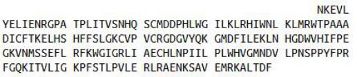 Recombinant Tafazzin (TAZ), RPU43944