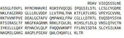 Recombinant Telomerase Reverse Transcriptase (TERT), RPU43963