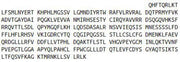Recombinant Telomerase Reverse Transcriptase (TERT), RPU43964