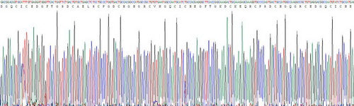 Recombinant Rat Tenascin C (TNC)