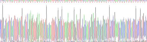 Recombinant Rat Thymic Stromal Lymphopoietin (TSLP)