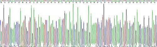 Recombinant Human Thymosin Beta 4 (TMSB4X)