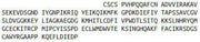 Recombinant Tissue Inhibitors Of Metalloproteinase 2 (TIMP2), RPU44046