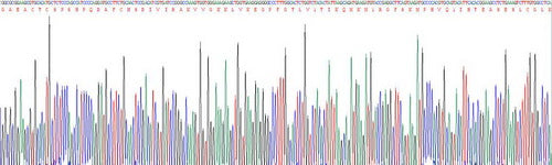 Recombinant Mouse Tissue Inhibitors Of Metalloproteinase 3 (TIMP3)