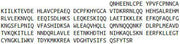 Recombinant TNF Receptor Associated Factor 5 (TRAF5), RPU44057