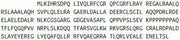 Recombinant TNFRSF1A Associated Via Death Domain Protein (TRADD), RPU44059