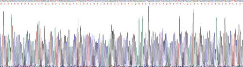 Recombinant Human TNFRSF1A Associated Via Death Domain Protein (TRADD)