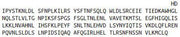 Recombinant Toll Like Receptor 4 (TLR4), RPU44075