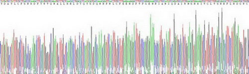 Recombinant Human Toll Like Receptor 5 (TLR5)
