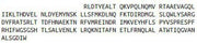 Recombinant Transferrin Receptor (TFR), RPU44116