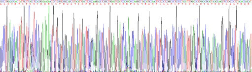 Recombinant Human Transforming Growth Factor Beta 1 (TGFb1)