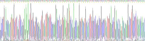 Recombinant Mouse Transforming Growth Factor Beta 1 (TGFb1)