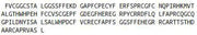 Recombinant Transforming Growth Factor Beta 1 Induced Transcript 1 (TGFb1I1), RPU44133